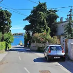 Jadera
