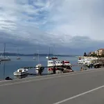 Jadera