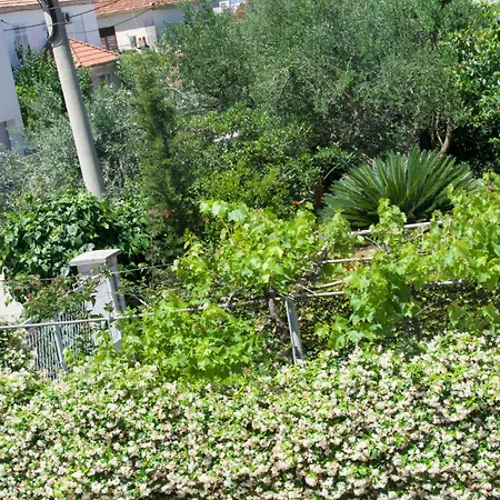 Πανσιόν Jadera 3*